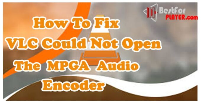 fix VLC could not open the MPGA audio encoder