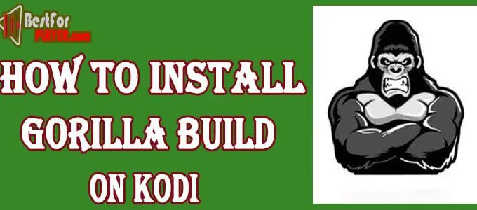 How to Install Gorilla Build on Kodi