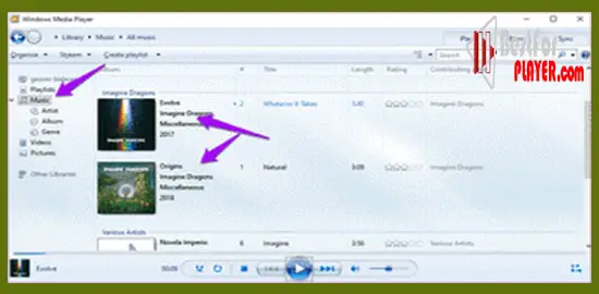 Windows Media Player library Not adding files