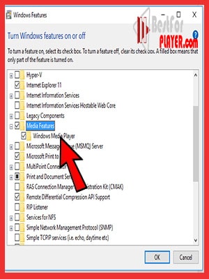 Windows Media Player Can’t Find Album Info