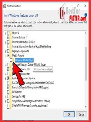 Windows Media Player Can’t Find Album Info