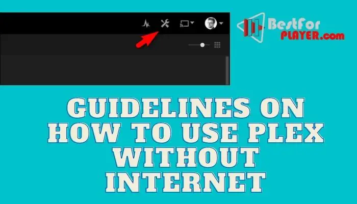 Guidelines on how to use Plex without internet