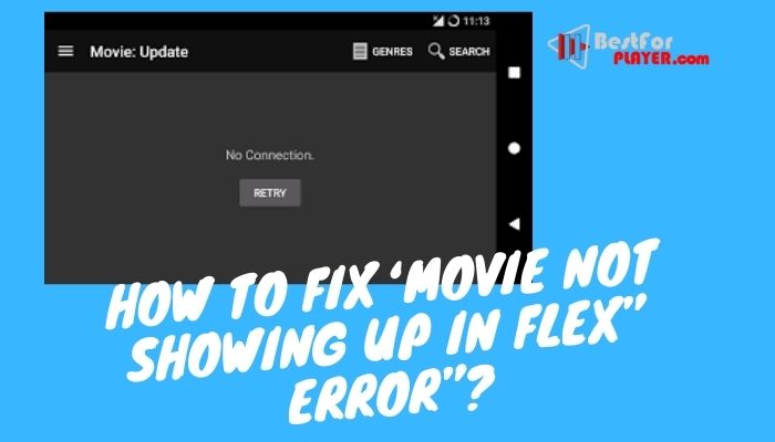 How to fix ‘movie not showing up in flex” error”