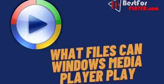 What files can windows media player play
