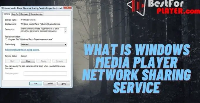 What is windows media player network sharing service