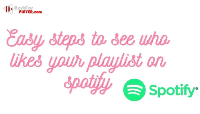 Easy steps to see who likes your playlist on spotify