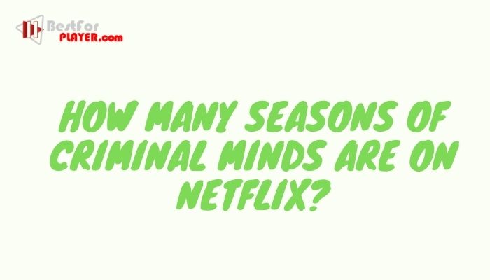 How Many Seasons Of Criminal Minds Are On Netflix