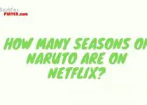 How Many Seasons Of Naruto Are On Netflix