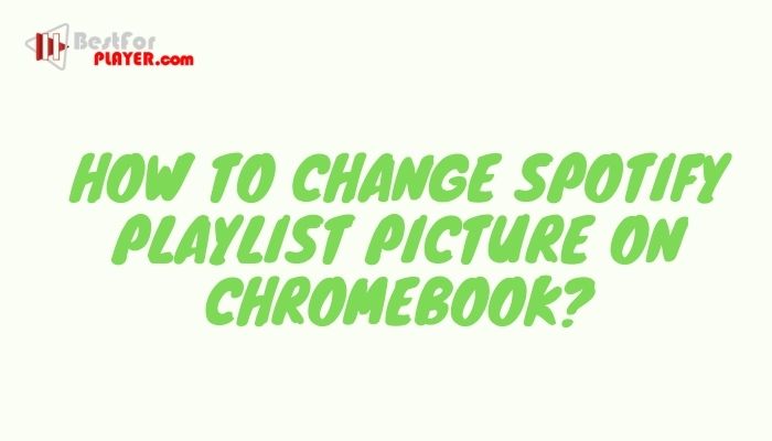 How to Change Spotify Playlist Picture on Chromebook