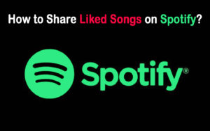How to Share Liked Songs on Spotify?