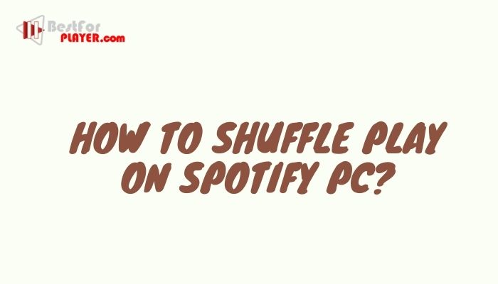 How to Shuffle Play on Spotify PC