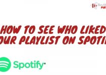 How to see who liked your playlist on Spotify