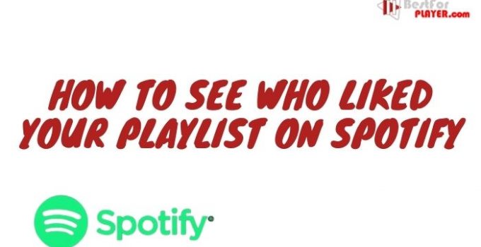 How to see who liked your playlist on Spotify