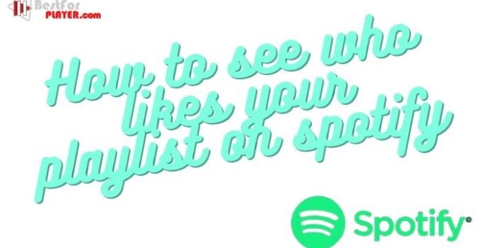 How to see who likes your playlist on spotify
