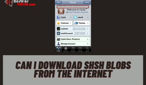 Can i download shsh blobs from the internet