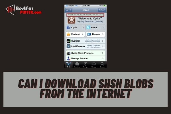 Can i download shsh blobs from the internet