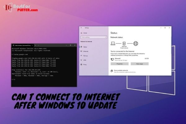 Can t connect to internet after windows 10 update