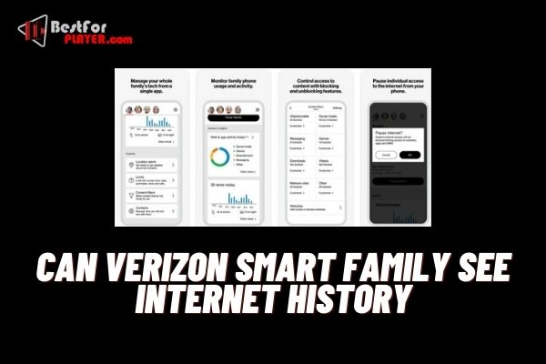 Can verizon smart family see internet history