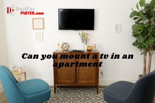 Can you mount a tv in an apartment