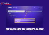 Can you search the internet on roku