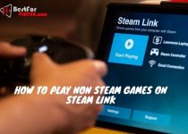 How to play non steam games on steam link