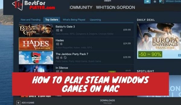 How to play steam windows games on mac