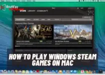 How to play windows steam games on mac