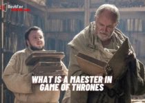 What is a maester in game of thrones