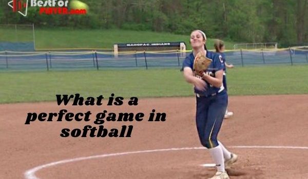What is a perfect game in softball
