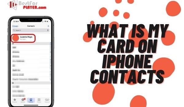 What is my card on iphone contacts