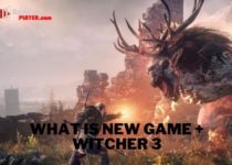 What is new game + witcher 3