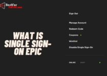 What is single sign-on Epic