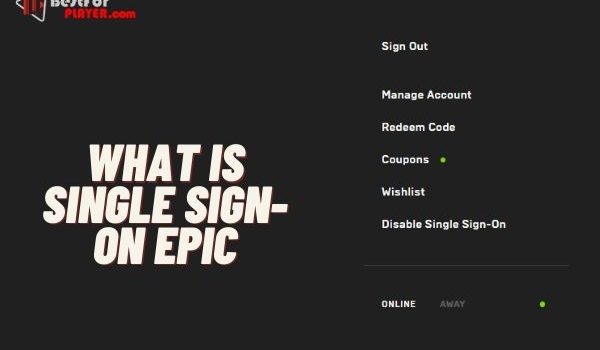 What is single sign-on Epic
