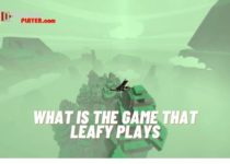 What is the game that leafy plays