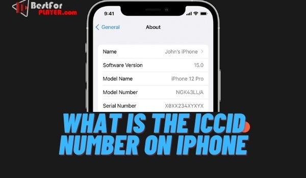 What is the iccid number on iphone