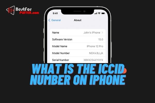 What is the iccid number on iphone