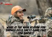 What is the main reason you should field dress game that you harvest