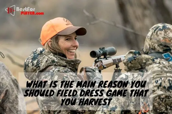 What is the main reason you should field dress game that you harvest