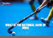 What is the national game of india