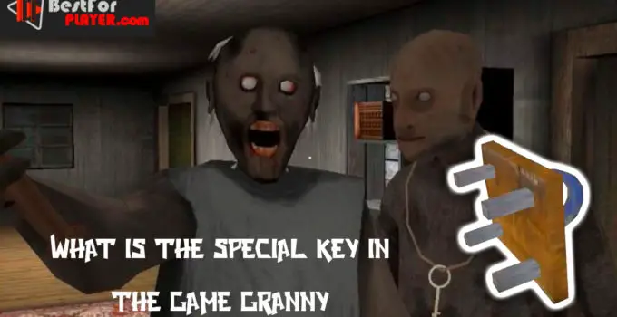 What is the special key for in the game granny