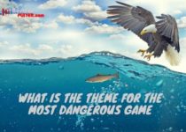 What is the theme for the most dangerous game