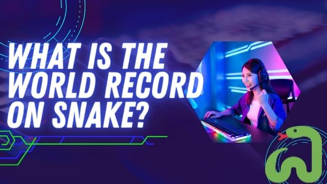 what is the world record for snake game