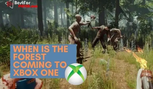 When Is the Forest Coming To Xbox One