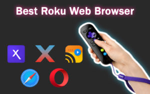 best roku web browsers